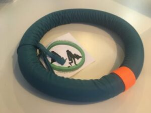 Plog-ring