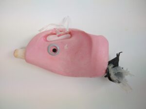 Happy fish, rose vis